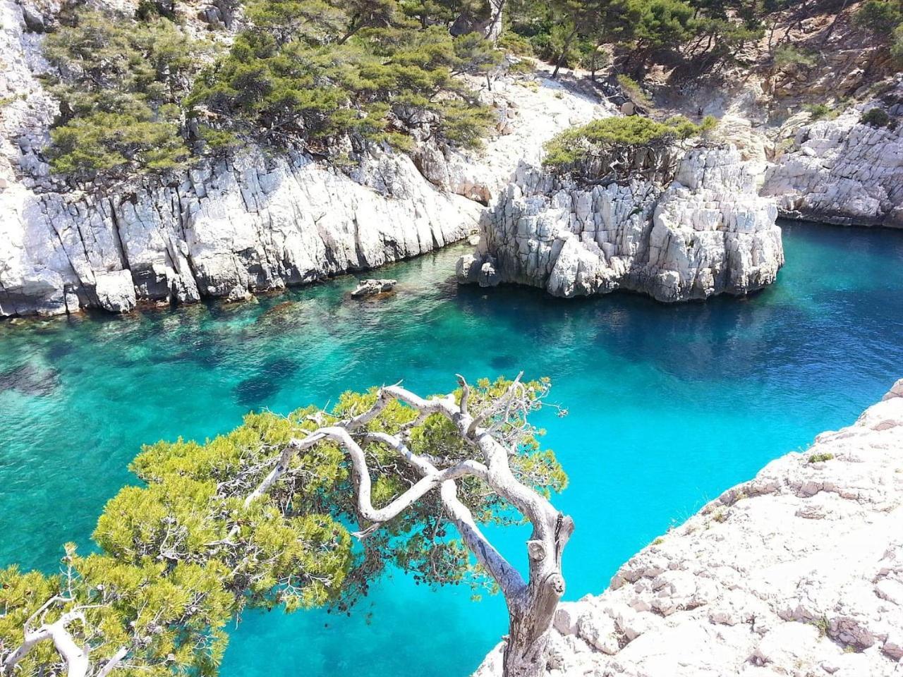 Villa Mathaia Cassis Roquefort-la-Bédoule Kültér fotó